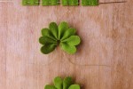 Flores hechas con fieltro