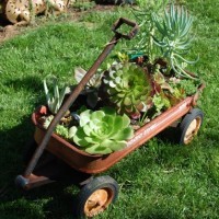 carro de mano para decorar el jardín